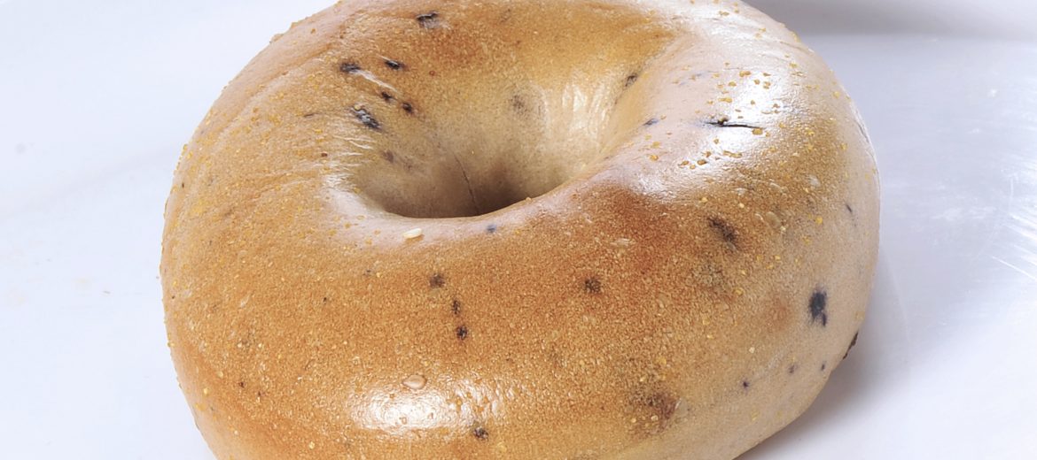 Blueberry Bagel