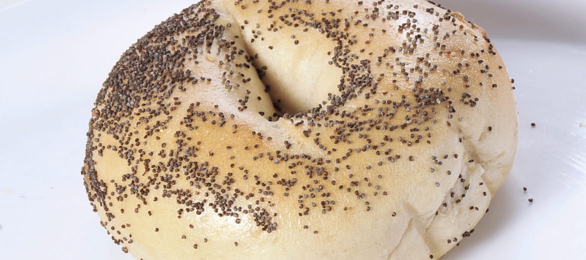 Poppy Bagel