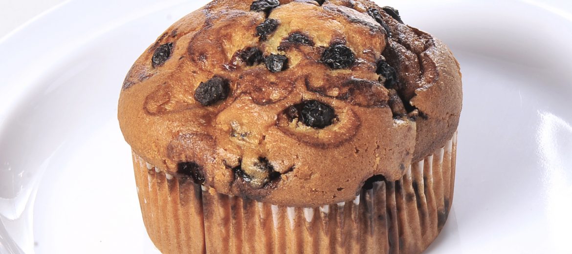 Blueberry Muffin