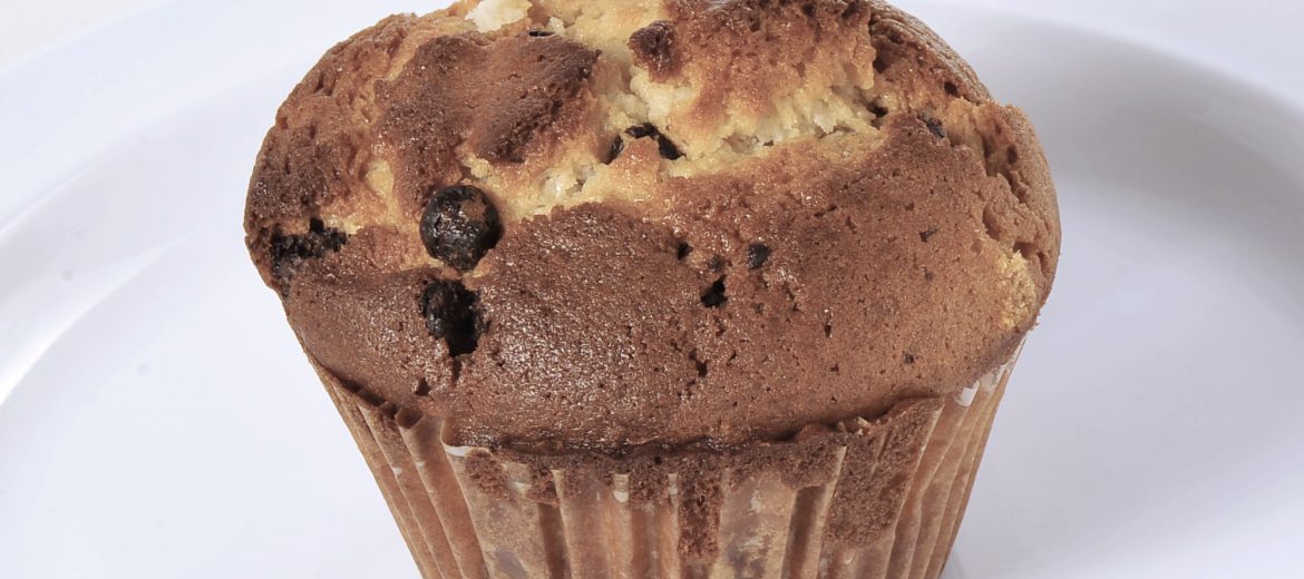 Chocolate Chip Muffin