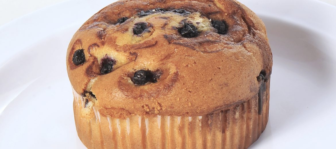 Blueberry Muffin